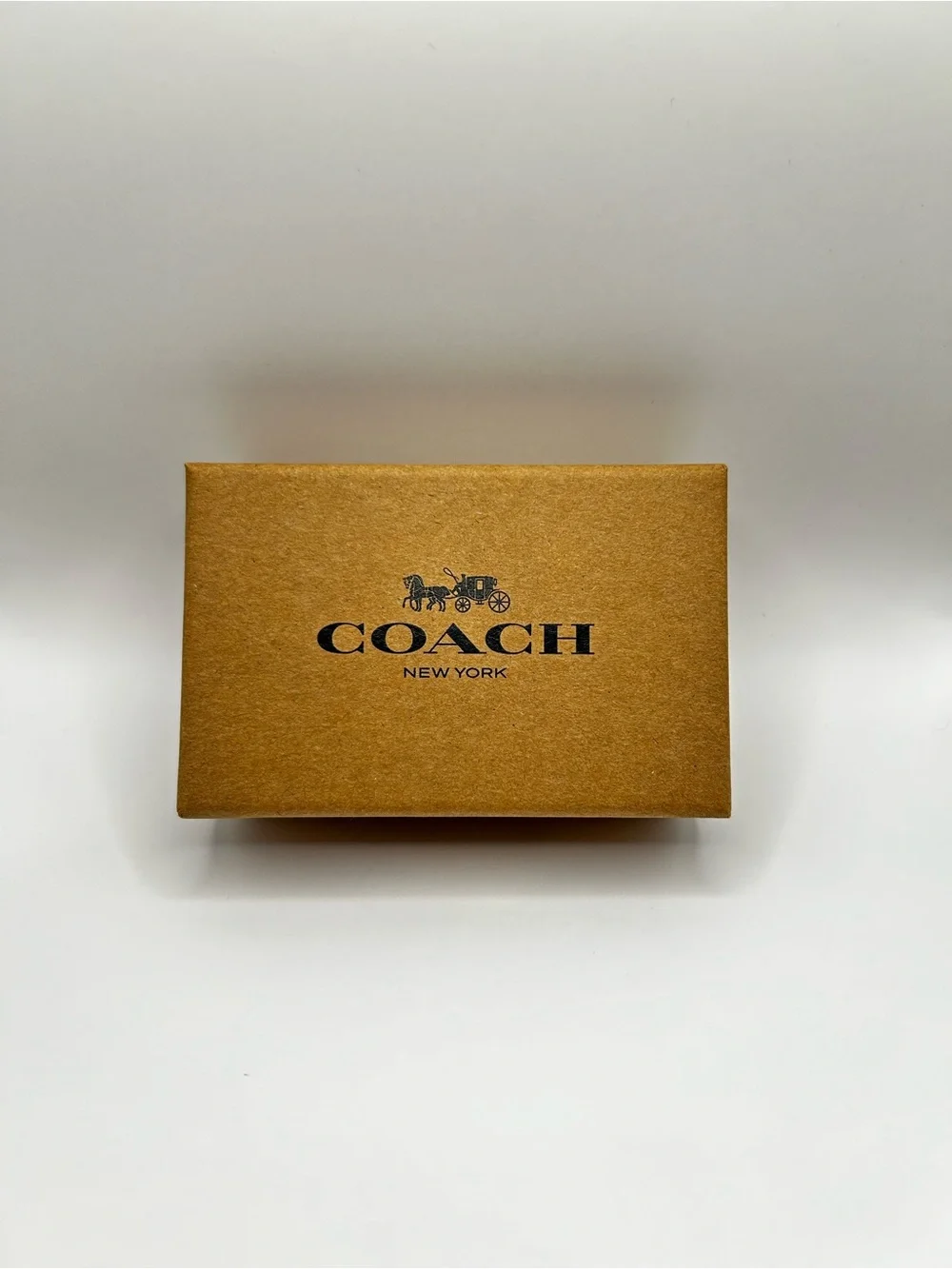 Coach belt comes